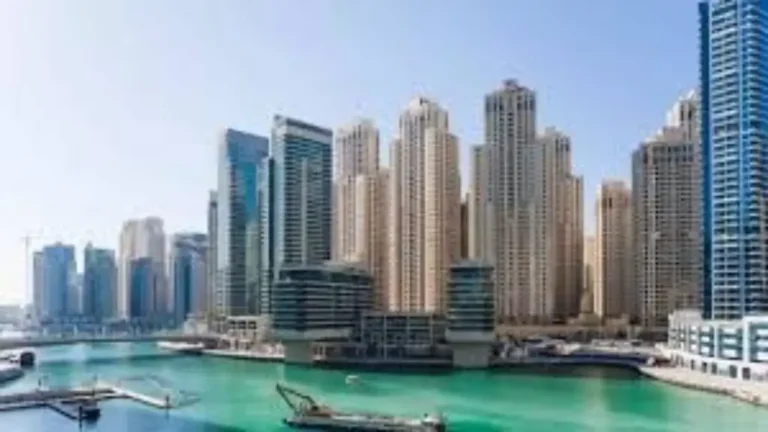 Dubai Real Estate Developers