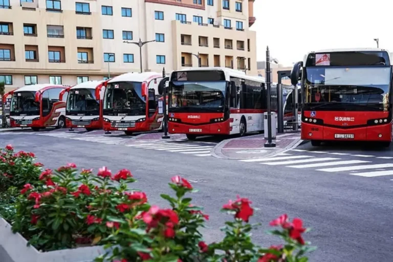 RTA Launches 4 Metro Bus Routes